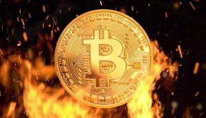 Zentralbanker: "Wenn Bitcoin Erfolg hat, sterben wir alle"