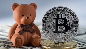 Eine braune Teddybär-Figur, die den Bitcoin-Bären darstellt, sitzt neben einer großen Bitcoin-Münze mit US-Dollar-Noten im Hintergrund.