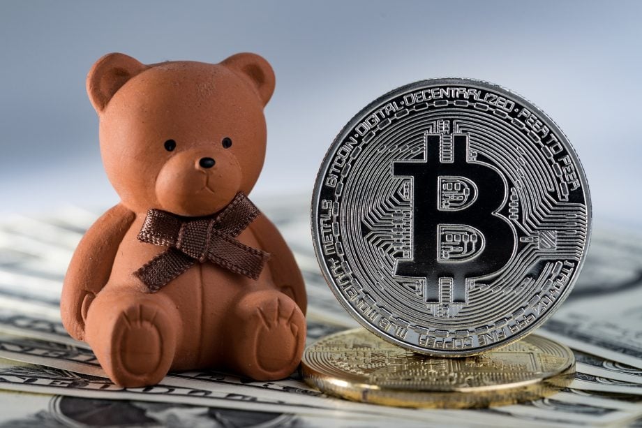 Eine braune Teddybär-Figur, die den Bitcoin-Bären darstellt, sitzt neben einer großen Bitcoin-Münze mit US-Dollar-Noten im Hintergrund.