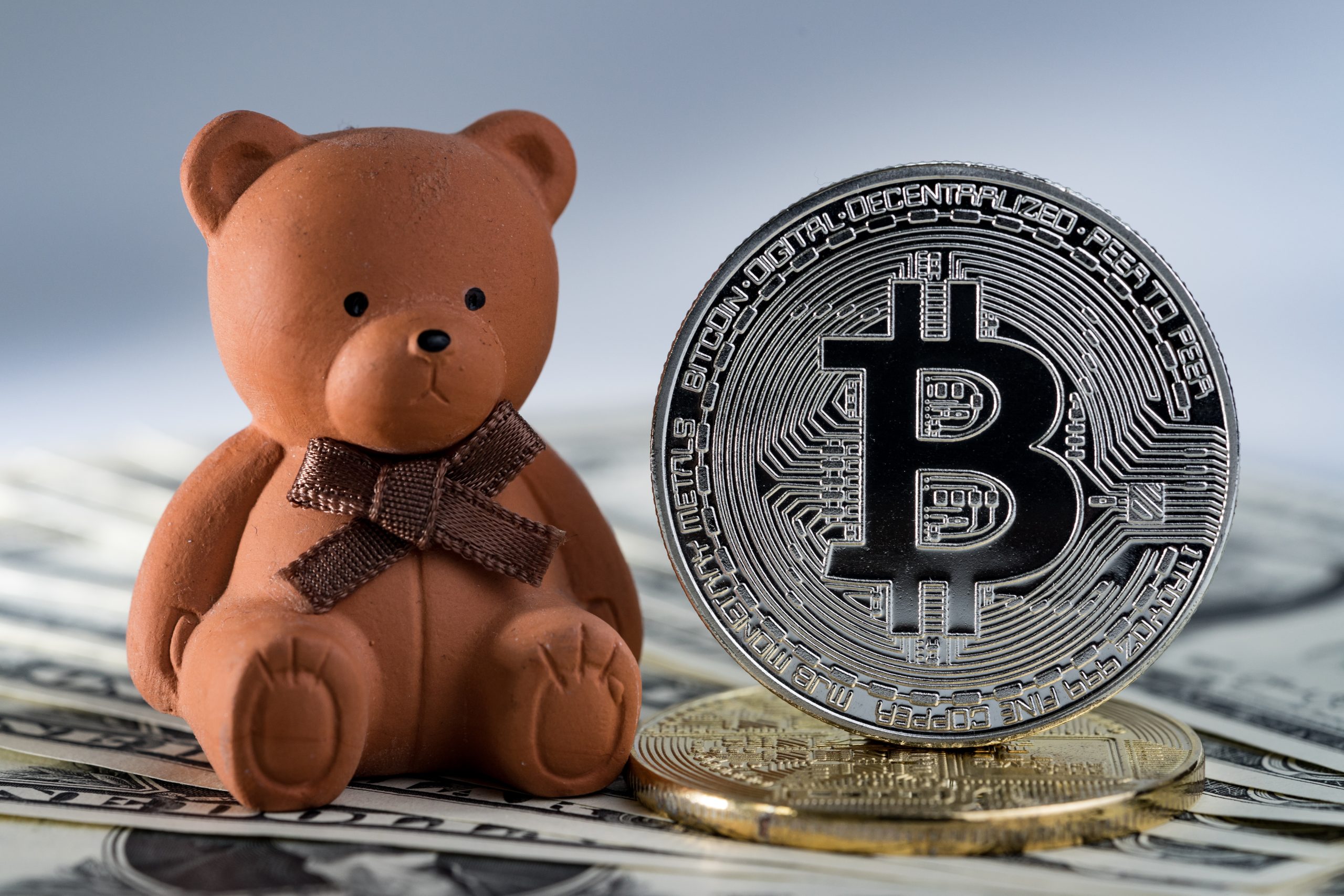 Eine braune Teddybär-Figur, die den Bitcoin-Bären darstellt, sitzt neben einer großen Bitcoin-Münze mit US-Dollar-Noten im Hintergrund.