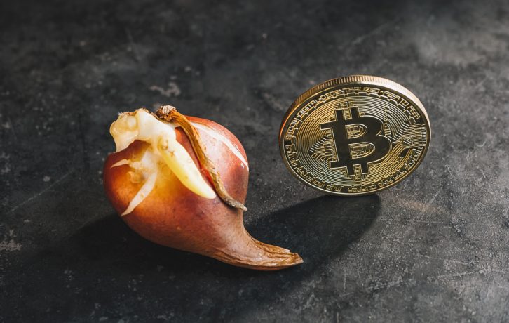 Eine gekeimte Zwiebel sitzt neben einer leuchtenden Bitcoin auf einer dunklen, strukturierten Oberfläche.