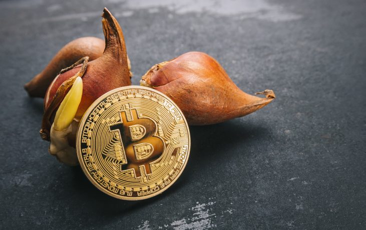 Bitcoin-Münze