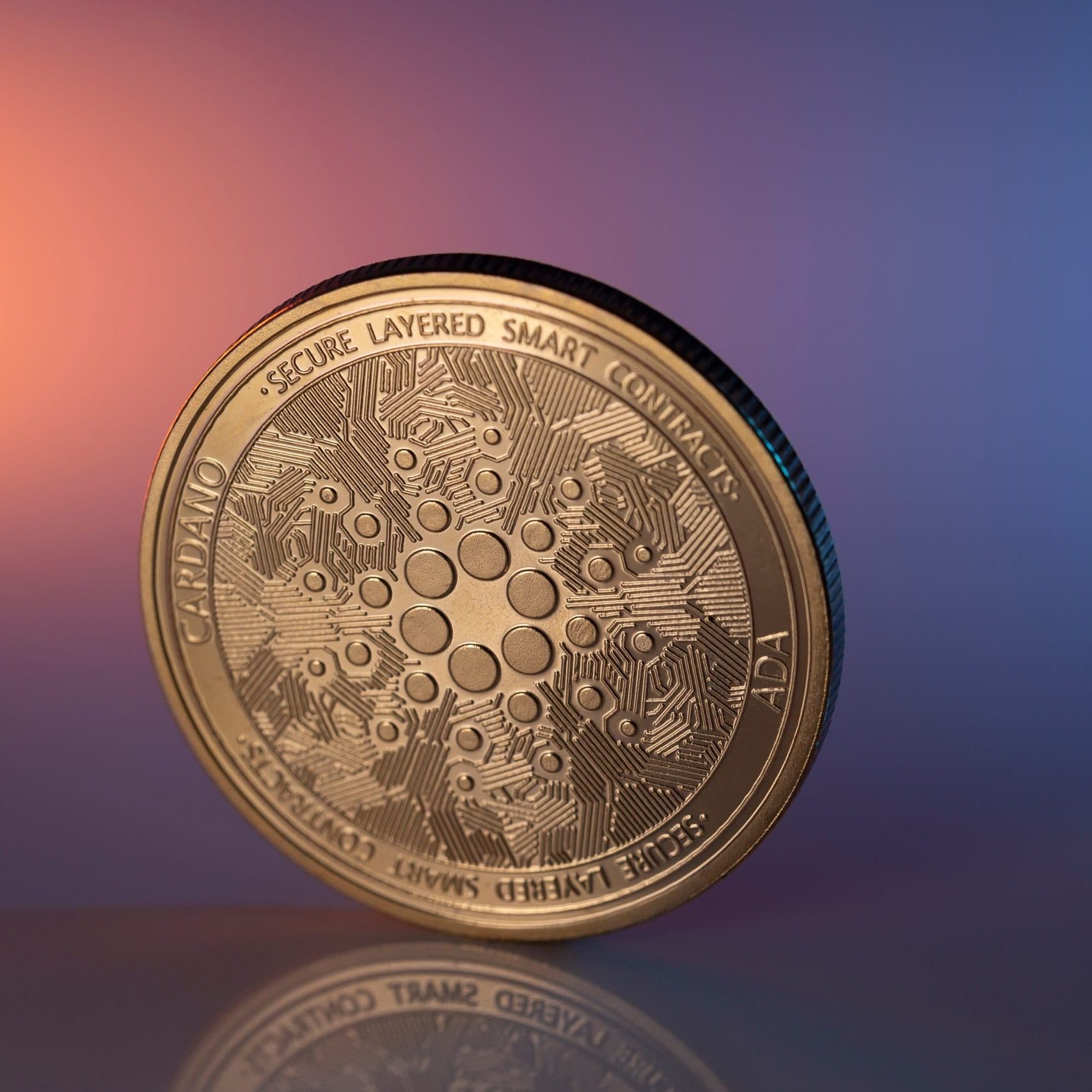 Cardano vor Short Squeeze? Warum der ADA-Kurs aufdrehen könnte