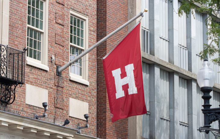 Eine rote Fahne mit einem großen weißen H, das eine Elite-Uni symbolisiert, hängt an einem Mast, der an einem Backsteingebäude neben einer Straßenlaterne und Bäumen befestigt ist.