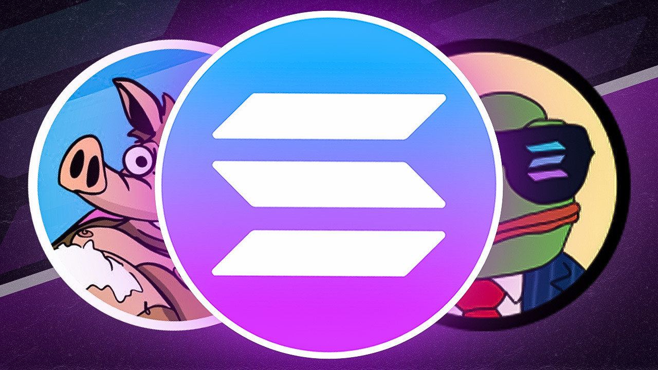 Das Solana-Logo befindet sich in der Mitte über den Cartoon-Bildern eines Schweins auf der linken Seite und eines Frosches im Anzug mit Sonnenbrille auf der rechten Seite, die vor einem violetten Hintergrund platziert sind und die beliebten Solana-Memecoins wie SNORT und WEPE hervorheben.