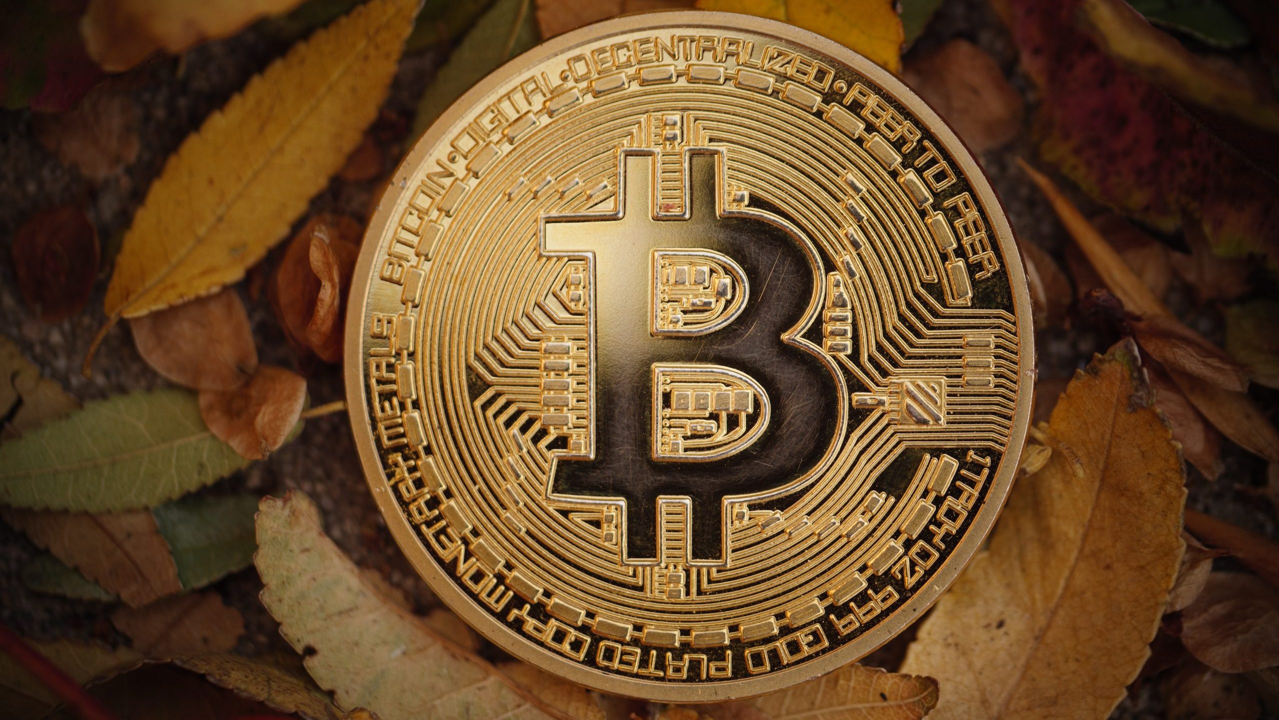 Ein goldfarbener Bitcoin ruht inmitten gefallener Herbstblätter und fängt das Wesen der Kryptowährung in der Natur ein.