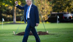 Donald Trump im Anzug und mit blauer Krawatte geht auf einem grasbewachsenen Rasen und reckt die Faust in die Höhe; im Hintergrund sind Bäume und ein geparktes Fahrzeug zu sehen, was an eine klassische Szene aus den USA erinnert.