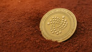Eine goldene IOTA-Kryptowährungsmünze steht aufrecht auf einer Fläche aus rötlich-brauner Erde und symbolisiert die Verbindung von IOTA zu geerdeter Innovation.