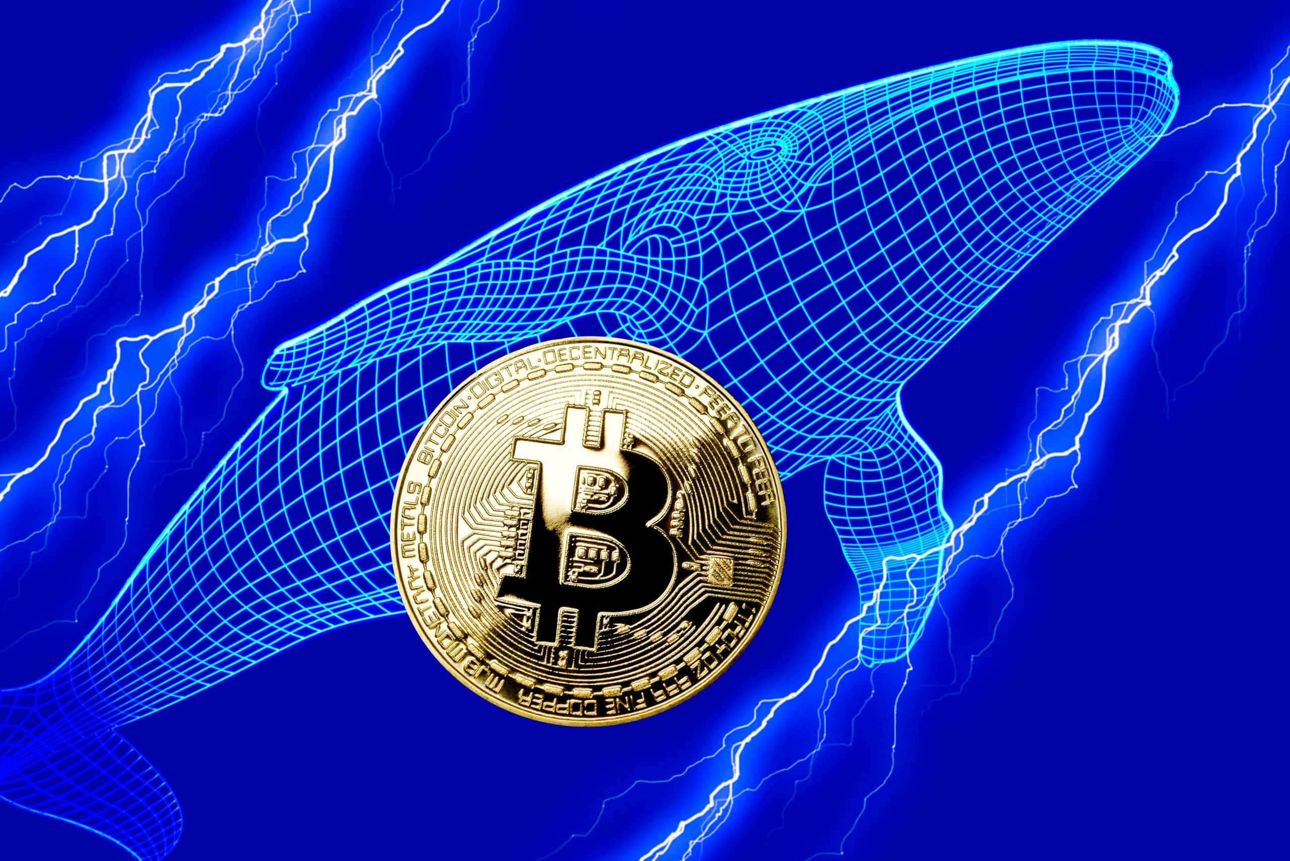 Eine goldene Bitcoin-Münze steht vor einem digitalen blauen Wireframe-Wal mit elektrischen Blitzeffekten auf einem leuchtend blauen Hintergrund.