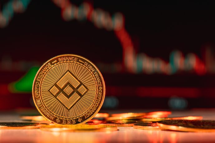 Eine BNB-Münze steht aufrecht zwischen anderen Münzen, vor einem verschwommenen Hintergrund, der Finanzcharts und rote Markttrends zeigt.
