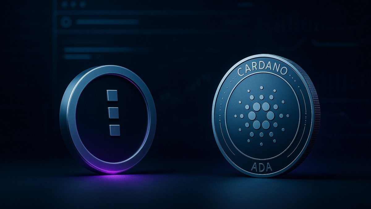 Midnight: Cardanos Privacy-Speerspitze zwischen Hype und hoher Bewertung