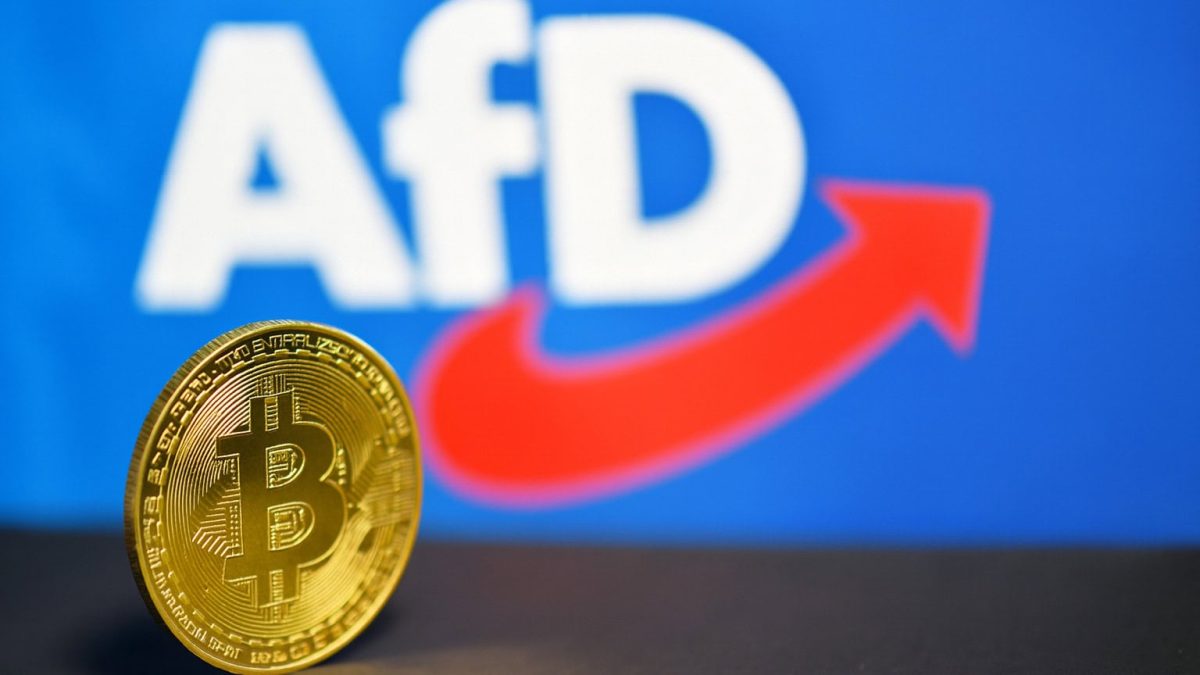 AfD-Bitcoin-Antrag im Faktencheck: Viel Freiheit, wenig Inhalt