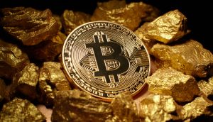 Bitcoin und Gold Eine physische Darstellung von Bitcoin, umgeben von Goldnuggets auf einem dunklen Hintergrund.