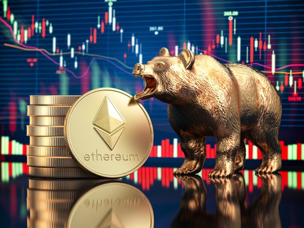 Ein Bär vor einer Ethereum-Münze welches für einen Bärenmarkt steht
