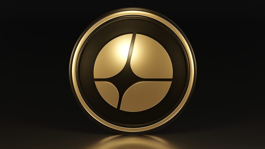 Aster vor schwarzem Hintergrund