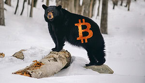 Sechs Monate Bitcoin-Bärenmarkt – wann startet der BTC-Kurs wieder durch?