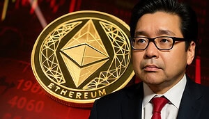 Intransparenz bei BitMine ruft Shortseller auf den Plan