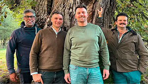 Wald-Tokenisierung: Wie ein deutsches Start-up den CO₂-Markt reparieren will - BitRSS | Related Crypto Article