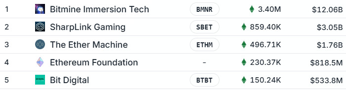 In einer Tabelle sind fünf Unternehmen, darunter BitMine Immersion Technologies, mit Namen, Tickersymbolen, Handelsvolumen und Marktkapitalisierung aufgeführt, wobei grüne Pfeile auf positive Zahlen hinweisen.