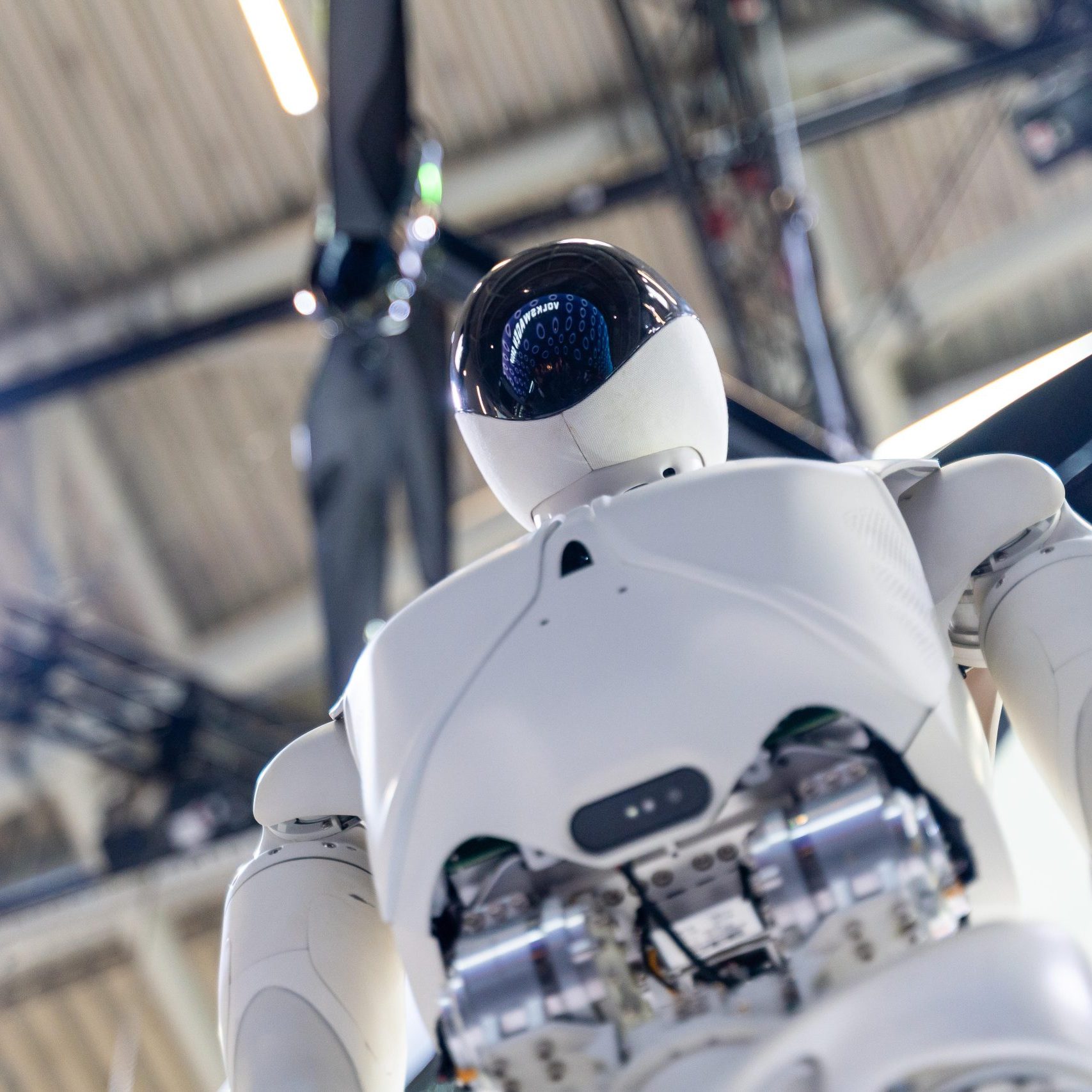 Wenn Maschinen Geld verdienen – wie Krypto-Roboter die Wirtschaft verändern  könnten