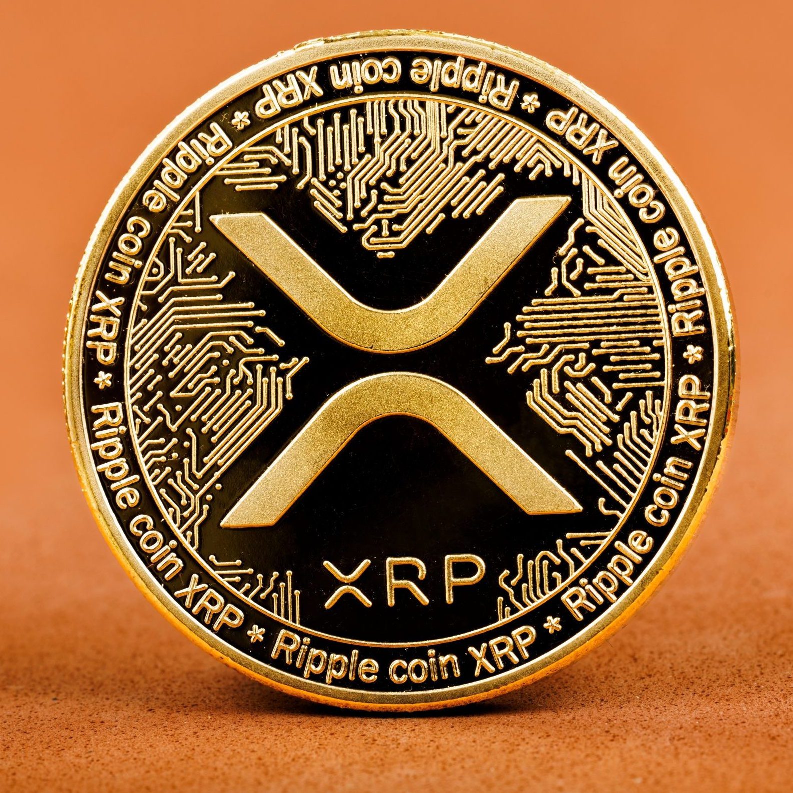 XRP-Investment: 