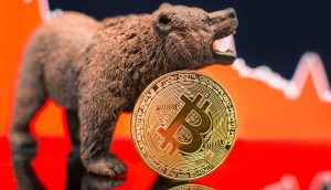 Bär mit Bitcoin-Münze und fallendem Kurs