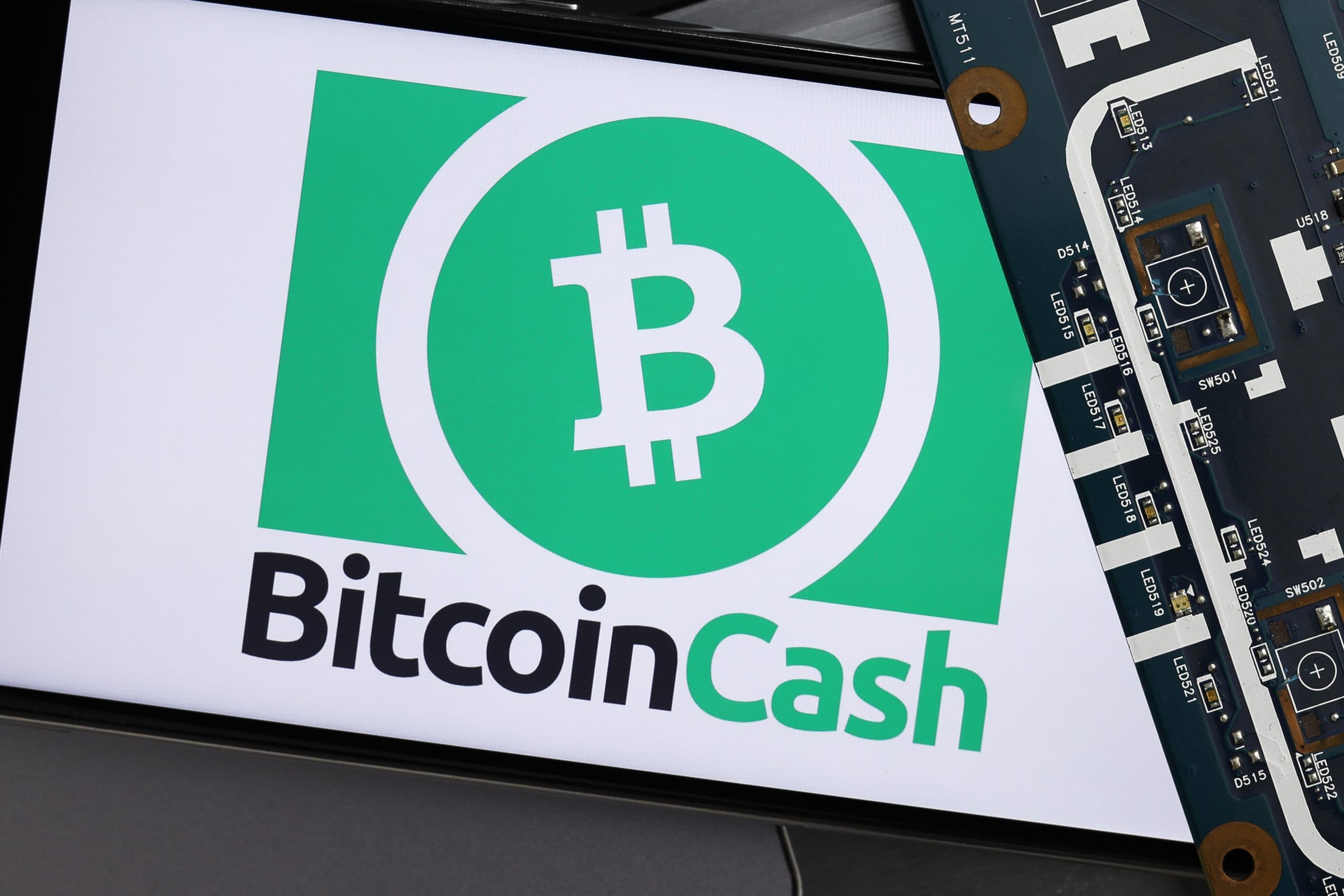 Das Logo von Bitcoin Cash auf einem Snartphone