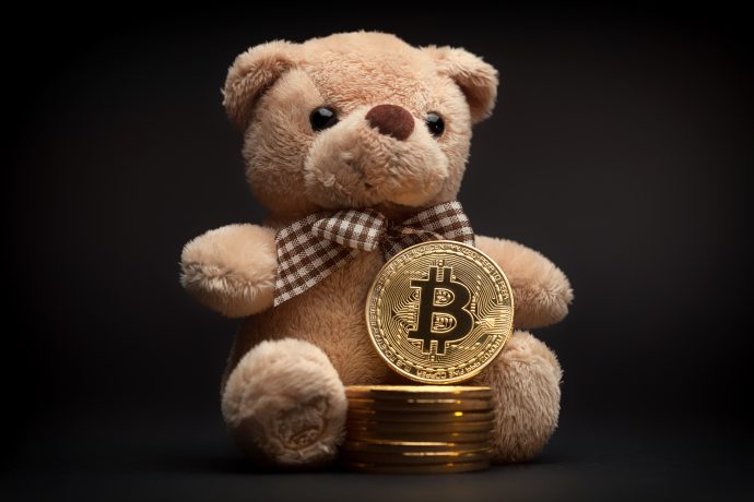 Ein Teddy und eine Bitcoin-Münze