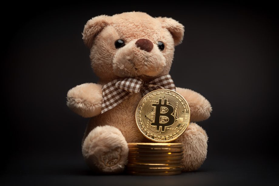 Ein Teddy und eine Bitcoin-Münze