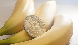 Warum der große Krypto-Bullrun laut Experten erst 2026 kommt