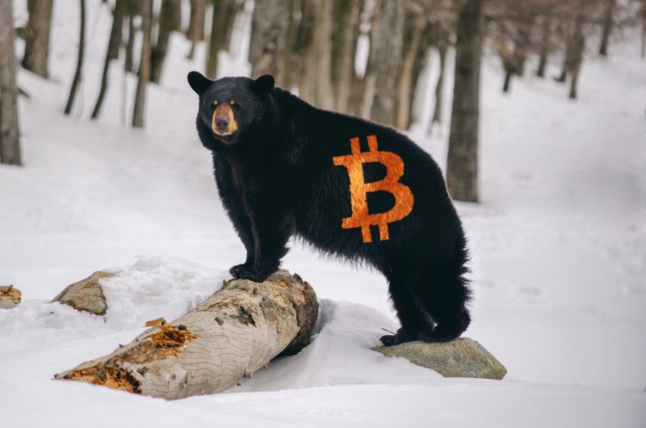 Ein schwarzer Bär steht auf einem verschneiten Baumstamm in einem Wald, auf dessen Seite das leuchtend orangefarbene Bitcoin-Symbol angebracht ist.