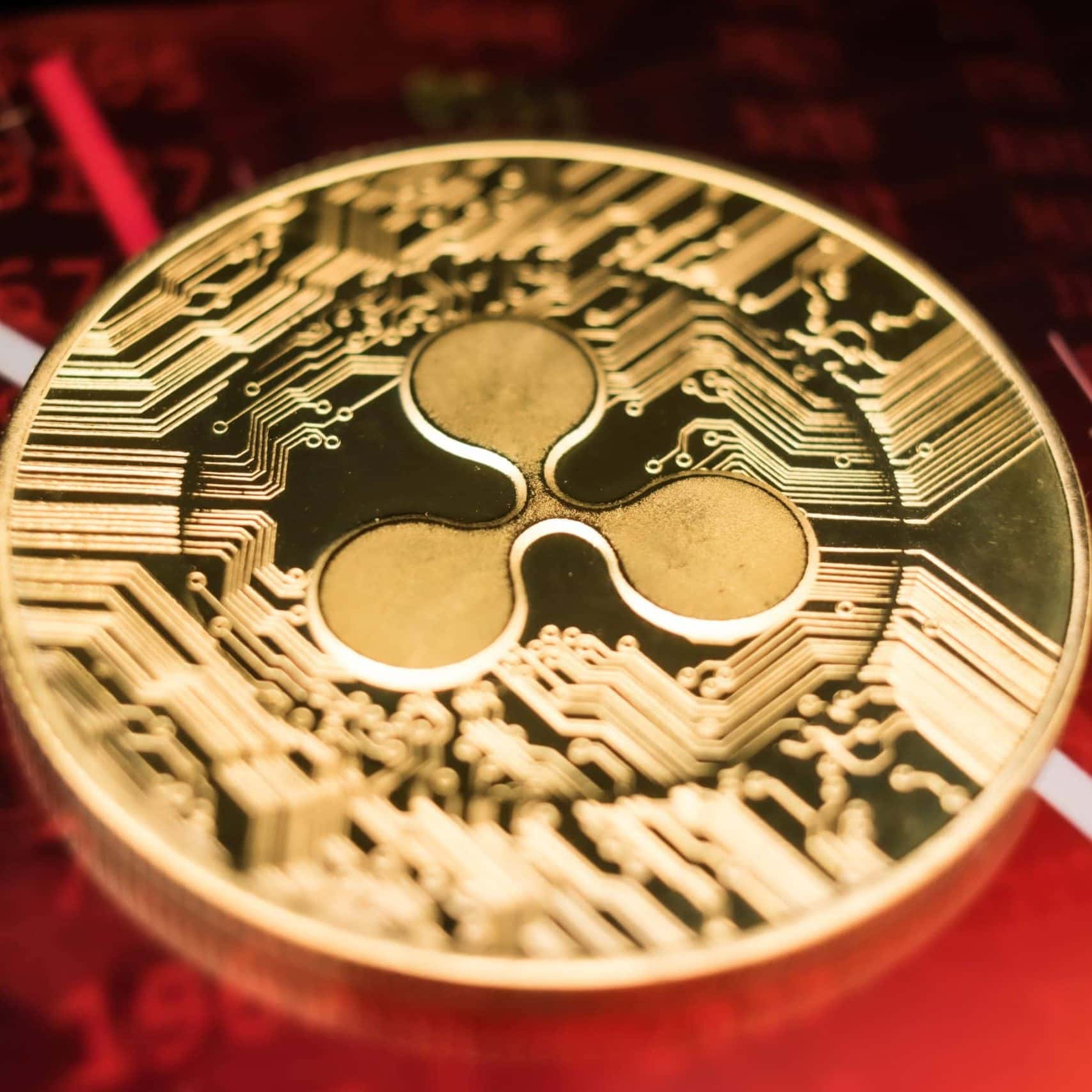 XRP ist im Bärenmarkt