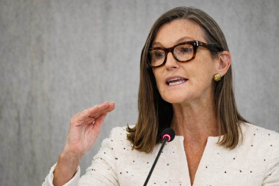 Cathie Wood, CEO von ARK Invest, spricht auf einer Veranstaltung.