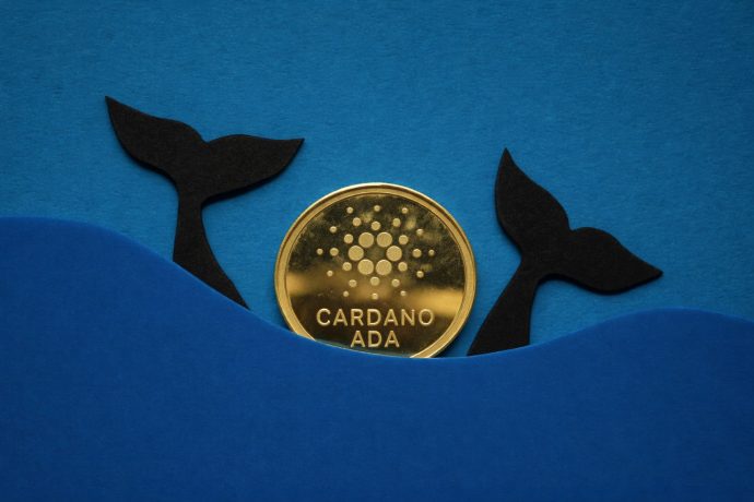 Goldene Cardano (ADA)-Münze ragt aus stilisierten blauen Wellen hervor, flankiert von zwei schwarzen Walflossen, vor schlichtem blauem Hintergrund.