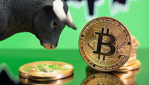 Eine Bitcoin-Münze neben einem Stierkopf