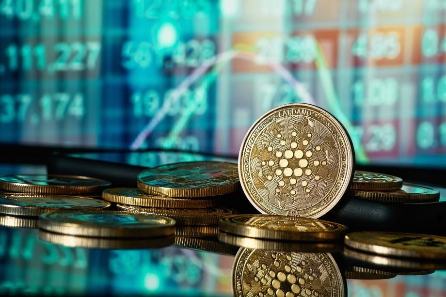 Das Bild zeigt den Cardano-Coin