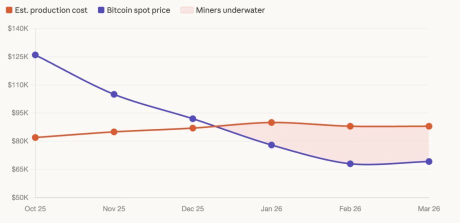 Das Bild zeigt die Profitabilität der Bitcoin Miner.