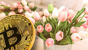 Bitcoin သည် Tulips နှင့်ချိတ်ဆက်သည်။