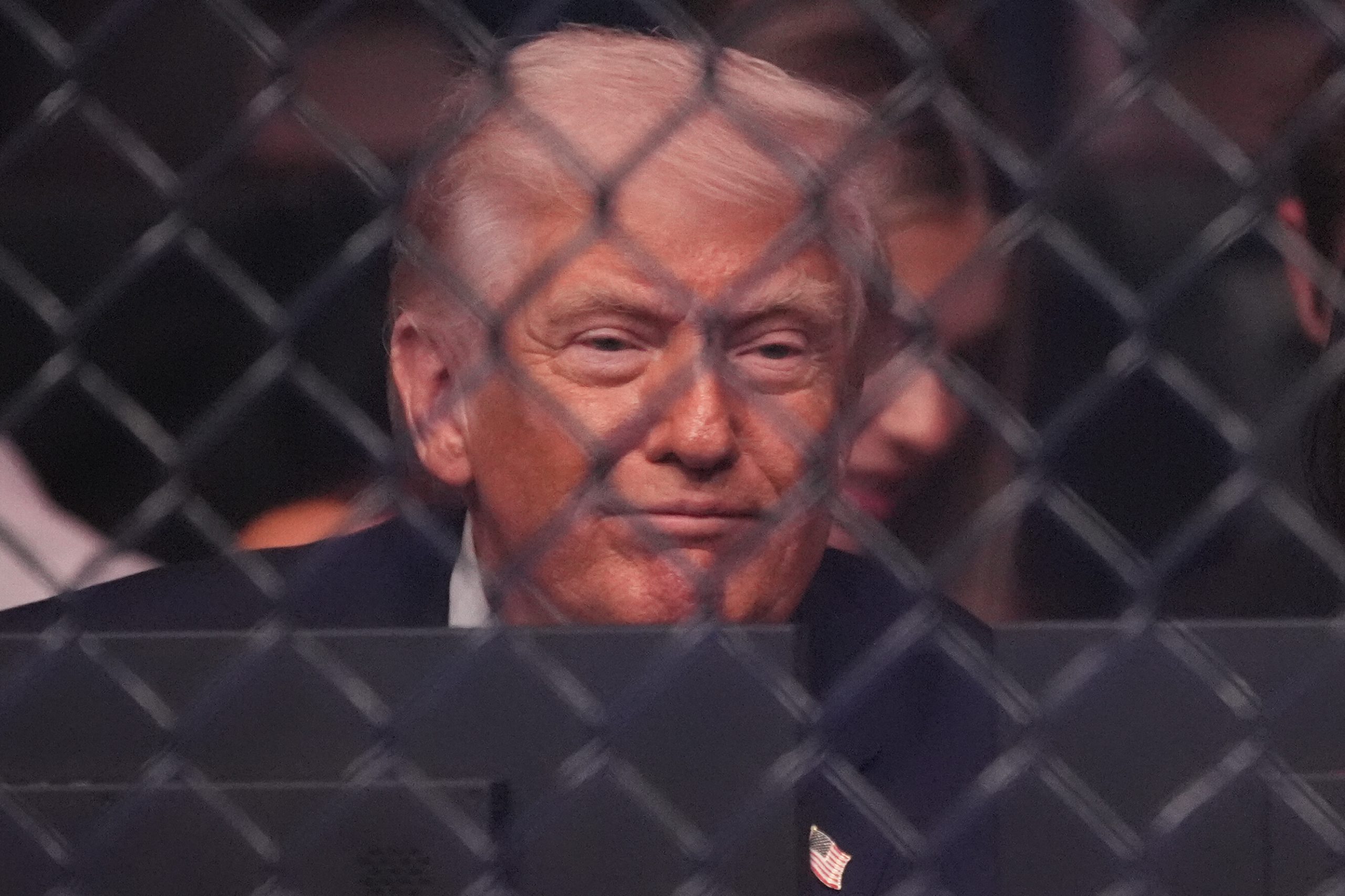 Donald Trump hinter Gittern