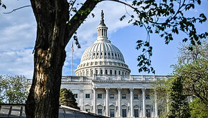 Ein Bild des US-Kapitols in Washington D.C.