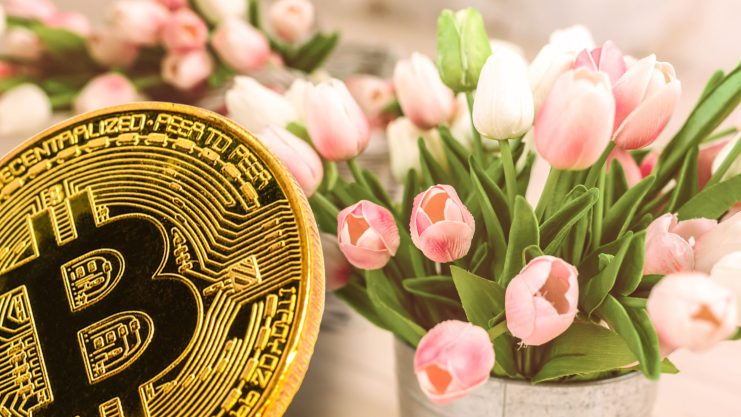 Blumen und Bitcoin