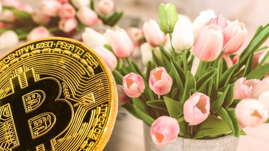 Blumen und Bitcoin