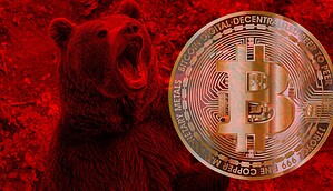 Eine rote Bitcoin-Münze neben einem Bären