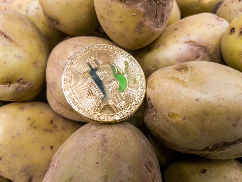 Eine Bitcoin-Münze liegt auf einem Berg Kartoffeln