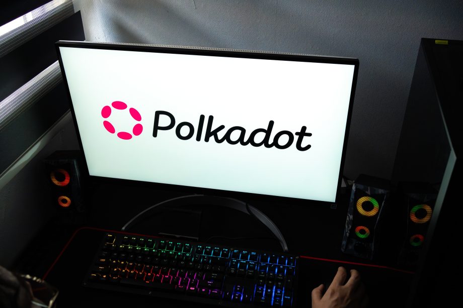 Das Bild zeigt das Polkadot-Logo auf einem Bildschirm