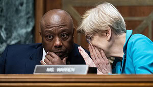 US-Senatorin Elizabeth Warren spricht mit Ausschusschef Tim Scott