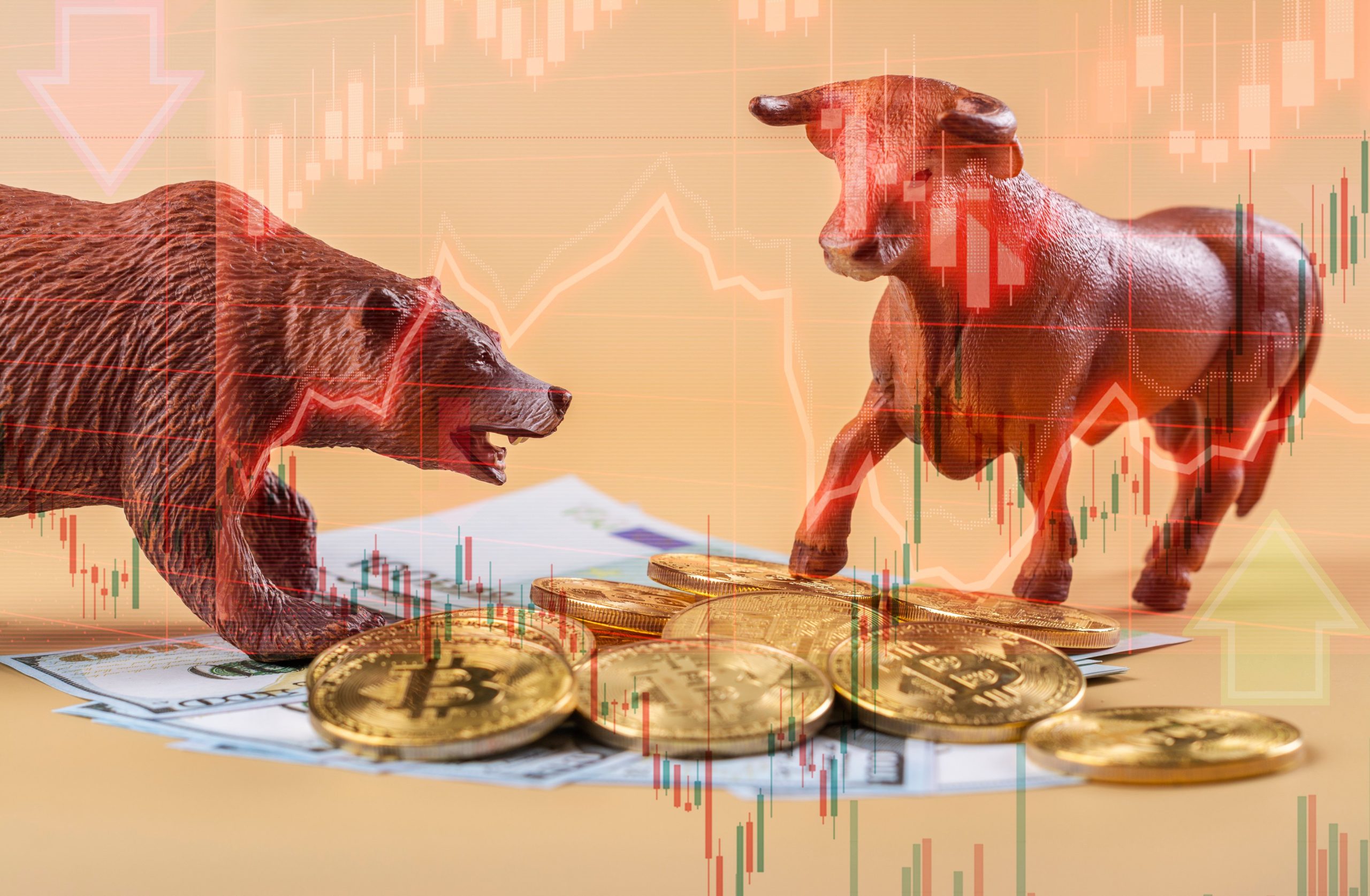 Ein Bulle und ein Bär stehen auf mehreren Bitcoin-Münzen