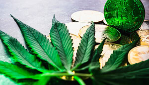 Das Bild zeigt eine Bitcoin-Münze und Cannabis