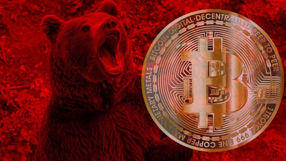 Das Bild zeigt einen Bären und eine Bitcoin-Münze auf einem roten Hintergrund.