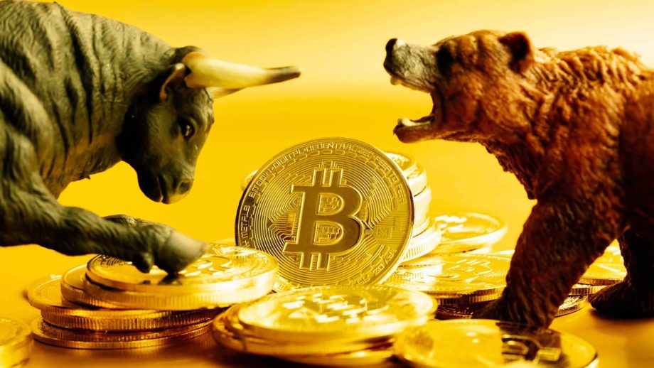 Ein Bulle und ein Bär ringen um einen Stapel Bitcoin-Münzen